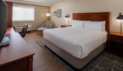 Business Room, Guest room, 1 King