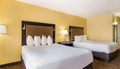 Queen Room with Two Queen Beds and Roll-In Shower - Disability Access/Non-Smoking