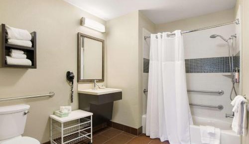 One-Bedroom King Suite