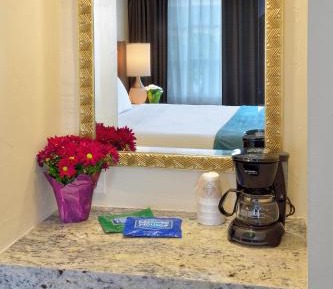 Petite King Room