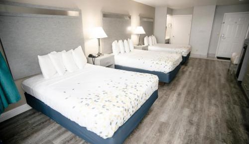 Basic Triple Room