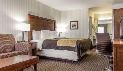 Standard King Room