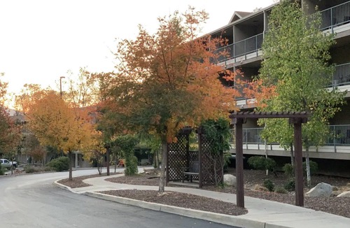 El Portal Hotel | Yosemite View Lodge