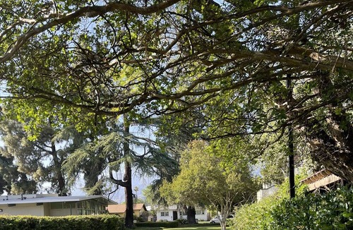 East Pasadena Apartment | One-story 4 bedrooms, 1.5 bathrooms in Pasadena