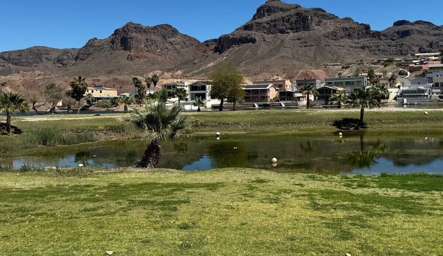 Postcard Picture Views of the Colorado River!